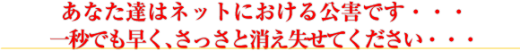 あなた達はネットにおける公害です・・・一秒でも早く、さっさと 消え失せてください・・・