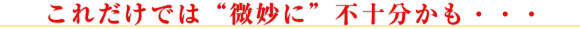 これだけでは“微妙に”不十分かも・・・