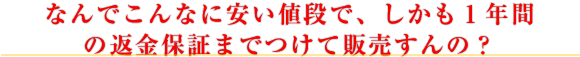 なんでこんなに安い値段で、しかも1年間の